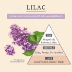 캔메이크 메이크미 해피 바디 미스트 (LILAC) 휴대용 스프레이 플로럴 향수 30ml : kawaii market