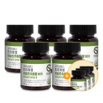 굿모닝센스 국내산 100% 참나무 겨우살이 미슬토 추출물 건강식품 60정, 8개 : 프리미엄 마이베리효소