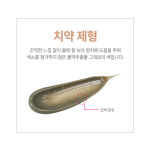 [기획세트] 돌앤메디 매스케어 부스터 치약 + 바디부스터 클렌징워시 100ml 세트 : 디올앤메디
