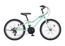 2025 삼천리 스마트 22 스펙트럼 22인치 알루미늄 21단 주니어 자전거 : 바른자전거