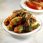 [3대째 손맛] 산지직송 여수 돌산갓김치 + 갓물김치/총각김치/열무김치/열무물김치/파김치 : 아이홈푸드