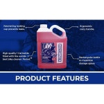 모토머크 PH 뉴트럴 모터사이클 안전 표면 병 및 바이크 모든 모터사이클에 유형의 나노 1갤런 워시 테크 : 누아르마켓