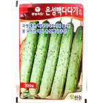 은성백다다기오이씨앗 500립 : 제일농약사