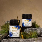 M&H 뉴질랜드 마누카 꿀 UMF15+ MGO 514+ 엠앤에이치 500g : 뉴질랜드쇼핑몰