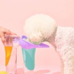 반려동물 개님의상점 보틀캡(퍼플/민트/옐로우/오렌지) : 토브네이처 주식회사