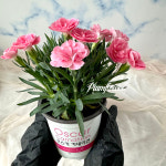 오산 수원 화성 어버이날 카네이션 식물심기 원예체험수업 키트 꽃꽂이원데이클래스 생화택배 : 피움플라워스토어