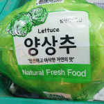 [부천,시흥,인천 부평구 배달] 아삭한 양상추 1개 [중동 풍년상회] : 동네시장 장보기