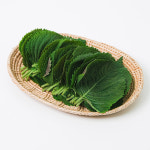 경남 밀양 찹찹이 깻잎 500g 1kg : 감동몰