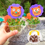 무순 새싹키우기 보리새싹 씨앗 어린이집 식목일키트 식물키우기 유치원 랜덤 사자 : 상상하랑