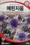 에린지움 씨앗 50립 세계종묘 종자 모종 씨 꽃씨 야생화 다년생 노지월동 드라이플라워 : 슬기로운농약사