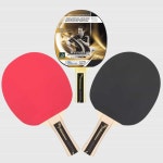 WALDNER 300 쉐이크홀더 탁구라켓 어린이탁구채 미니탁구라켓 : 베스트트랜드샵