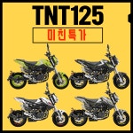 베넬리 TNT125 23년식 / 클래식바이크 / 입문용바이크 / MSX125 : 터보 모터스