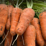 당근 (특) 2kg : 시루뫼 Sirumoe