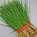 [부천,시흥,인천 부평구 배달] 알싸한 쪽파 1.5Kg 국내산 보성 [중동 풍년상회] : 동네시장 장보기