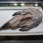 [부천시 배달] 냉동아구 2kg [중동 그린수산] : 동네시장 장보기