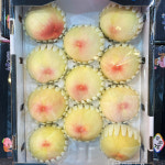 [부천시 일부지역 배달] 품질 좋은 말랑이 복숭아 4kg 10-13수 [중동 훈훈한과일] : 동네시장 장보기