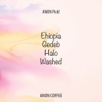 안온커피 ANON Pick! 에티오피아 할로 워시드 150g, 1개 : 안온커피