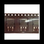 30028 STC89C52RC -40I-PLCC44 STC89C54RD+ -40I-PLCC44 STC89C516RD+ 40I-PLCC44 STC89C58RD+ -40I-PLCC44 : 사오엔티에스