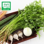 청도 돌미나리 당일수확 무농약 한재 미나리 500g 1kg 쌈채소 : 홍익효과
