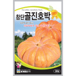 호박 씨앗 30립 / 골진호박 씨앗 종자 텃밭키우기 채소키우기 : 율이네 씨앗
