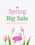 Set 버터플라이+튤립 : 예원농장 YewonFarm