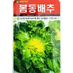 봄동배추씨앗 아람5000립 고소한맛쌈용으로도 노지월동가능한 엇갈이배추씨앗 : 이파주