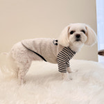 단추 나그랑 강아지 티셔츠 긴소매 봄옷 강아지 데일리룩 S-XL : 슈가몽