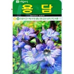 용담씨앗 1000립 용의쓸개처럼쓰다고하여 여러용도사용되는 : 이파주