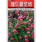 레드 클로버씨앗 20g 지피용목초용 전국재배가능 크로바씨앗 : 이파주