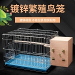 DIY 새장 만들기 조류 케이지 사육장 매쉬 : 비니마켓9999