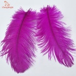 Chengbright 100 pcs 20-25 cm/8-10 inch 진짜 타조 깃털 diy 쥬얼리 공예 웨딩 파티 장식  만들기 : 멋진조유