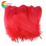 천연 거위 깃털 홈 데코용 화이트 블랙 DIY 공예 쥬얼리 만들기 파티 할로윈 장식 13-18cm 50/100 개 : 멋진조유