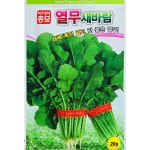 열무씨앗 새바람 20g 재배폭이넓고맛좋은 여름재배에도강한 : 이파주