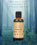 피톤치드 편백나무 히노키 오일 휴식 이완 진정효과 : 주식회사 마루인터내셔널