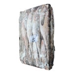 러시아 동태5통 21.5Kg 20마리 업소용 냉동명태 식당 도매 동태탕 : 수산온마켓