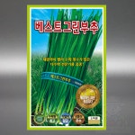 KS종묘 베스트그린 부추 450g 다수확 전문가용 부추 씨앗 씨 종자 대포장 대용량 : 장보고팜스토어