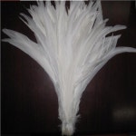 의상  마스크용 순백색 수탉 꼬리 깃털 패션 DIY 35-40cm 14-16 인치 : 멋진조유