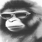 원컬러 도트 페인팅 동물 WD-j0737 ~ j0767, 40x60cm : 세컨드그린