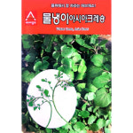 물냉이씨앗 아시아크레숑 1g약5000립 물위에서잘자라는 허브채소 : 이파주