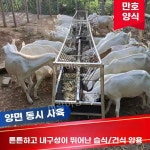 축산 축사 사료통 여물통 먹이통 가축 돼지 염소 농장 목장 사료 1m 강판(두꺼움) : 이랑이랑상점