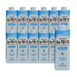 뉴케어 당뇨식 DM 당뇨환자용 200ml 60캔 당뇨관리 혈당 간편식 : 리브101