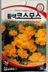 황색 코스모스 씨앗 3g 세계종묘 종자 모종 씨 꽃씨 야생화 혼합종 일년생 : 슬기로운농약사