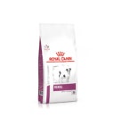 로얄캐닌 독 레날 스몰독 1.5kg : 진주동물병원