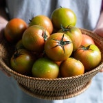 부산직송 대저 짭짤이 찰 토마토 2.5kg 짭짜리 GAP인증 : 자연맛남