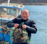 제철 자연산 섬진강 하동벚굴 10kg : 벚굴수산
