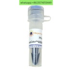 BeyoColor P0071-200 ml™색상 사전 염색 단백질 분자 무게추 표준 (6.5-270 kD) : 신정물류종합