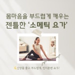 소그룹레슨 : 판교알렉산더테크닉요가