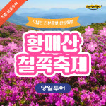 철쭉명소 황매산 철쭉 당일투어 [부산출발] 스마일여행사 : 스마일여행사