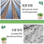 멀칭비닐 텃밭 주말농장 멀칭 유공 검정 비닐 소량판매 : 정감상회