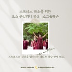 소그룹레슨 : 판교알렉산더테크닉요가